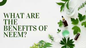 An image saying what are the benefits of neem with neem leaves and other herbs